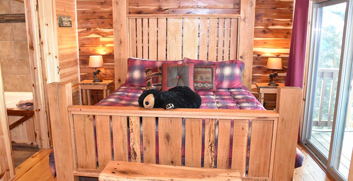 Eureka Springs Cabin - The Bear's Den