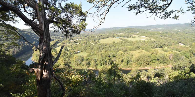 View overlooking the White River