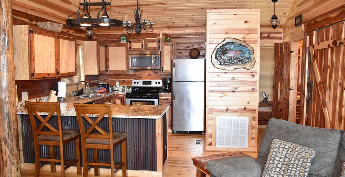 Cozy Living Room in The Trout House